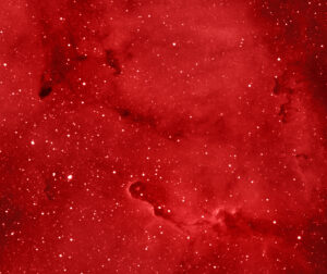 Read more about the article IC 1396 (Elephant Trunk Nebula) – Detail View