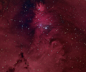 Read more about the article NGC 2264 (Cone Nebula)