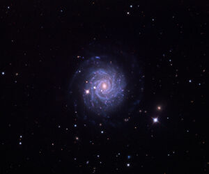 Read more about the article NGC 3344 – Spiral Galaxy in Leo Minor