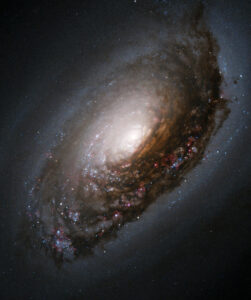 Read more about the article Messier 64 (Black Eye Galaxy) – Spiral Galaxy